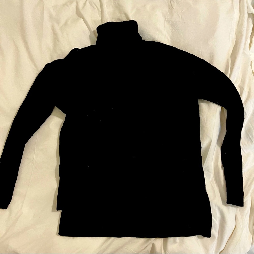 JCrew Turtleneck Sweater